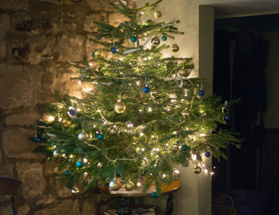 The Pack Horse Inn Chathill Εξωτερικό φωτογραφία
